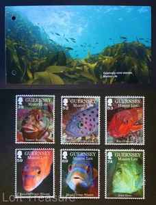 Guernsey Stamps: "Marvelous Marine Life" MNH Presentation Pack 2013 - Picture 1 of 6