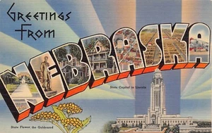 Nebraska NE Greetings From Large Letter Capitol Goldenrod Linen 72661 Postcard - Picture 1 of 2