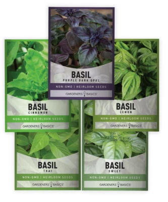 GARDENERS BASICS Basil Seeds For Planting | 5 Variety Pack