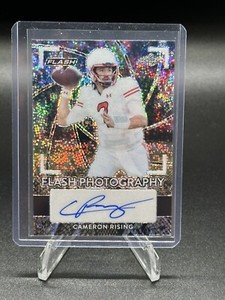 2022 Leaf Flash Photo Auto Cameron Rising (Metalized Sparkles Snakeskin) 2/3