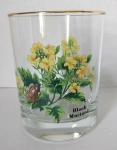 Royal Worcester Worcester Herbs 12 Oz Double Old Fashioned Glass Black Mustard - Picture 1 of 6