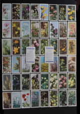 BROOKE BOND 2nd ever set, 1955, WILD FLOWERS (A SERIES), Full Set.