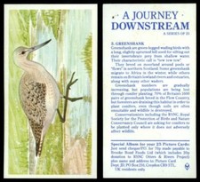 Greenshank #3 A Journey Downstream 1990 Brooke Bond Tea Card