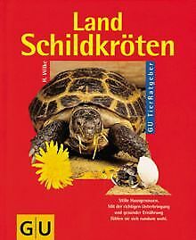 Landschildkröten von Hartmut Wilke | Buch | Zustand sehr gut