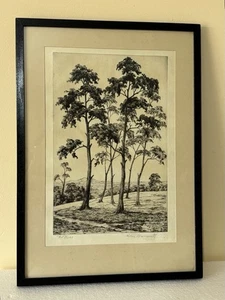 Antique Framed Signed Etching The Pines Alice Barnwell Artists Proof - Picture 1 of 21