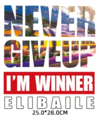 Washable T-shirt Iron-on Transfers  - Never Give Up I'm Winner - image 1 of 4