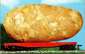 Maine Vacationland We Grow Them Bigger Potato Postcard - Picture 1 of 2