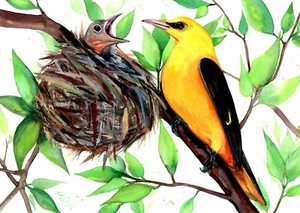 Original watercolor bird painting 8"х11" handmade goldfinch by Anne Gorywine - Picture 1 of 4