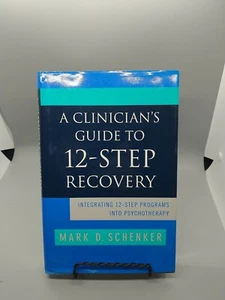 Clinician's Guide to 12-step Recovery, Schenker. - Picture 1 of 4