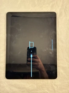Apple iPad Pro 12.9" 4th Gen Gray A2229 BENT!  BAD LCD CANT RESTORE READ - Picture 1 of 7