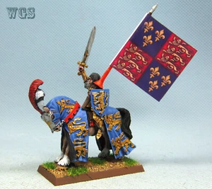 25mm Warhammer WGS pintado Bretonnian Repanse de Lyonesse BR021 - Imagen 1 de 7