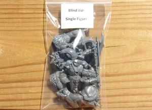 W:AOS Beasts of Chaos _Dragon Ogor w/ Double Handed Weapon BlindBuy SingleFigure - Picture 1 of 1