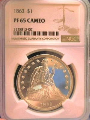 1863🔥$1 NGC PR-65CAM; ¡DÓLAR A PRUEBA DE LIBERTAD SENTADA EN BLANCO Y NEGRO! PRECIOSA JOYA GUERRA CIVIL Foto 1 de 4