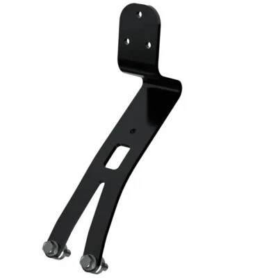 Indian Motorcycles Scout Rider 2025 respaldo bajo perfil 2890359-266 Foto 1 de 2