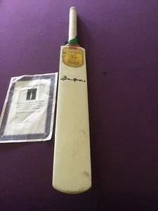 Signed Alan border match used 2007 beach cricket bat - Picture 1 of 7