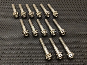 Pernos de cubierta de embrague de titanio perforado para Honda Fireblade CBR1000RR 08-16 Ti - Imagen 1 de 3