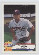 1993 Fleer ProCards Midwest League All-Star Game Mike Wolff #MDW-37