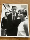 Jane Asher,Tony Britton,Maxine Audley - very rare original 1967 press photograph