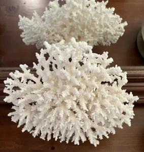 Coral Natural Reef 10"X9"X5" Decor Display Aquarium Large White w/Stand - Picture 1 of 10
