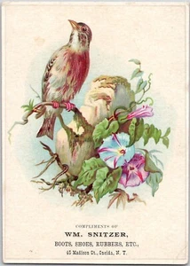 Robin Morning Glory Flores Botas Nitzer Zapatos Gomas Oneida Nueva York Tarjeta Victoriana - Imagen 1 de 4