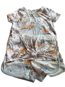 Garanimals Toddler Girls Short Sleeve Tie Front T-Shirt And Shorts Set Size 4T - Picture 1 of 10