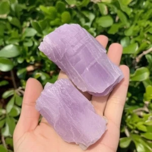 Natural Raw Kunzite Chunk Healing Purple Crystal Rough Mineral Specimen Gift 2PC - Picture 1 of 5