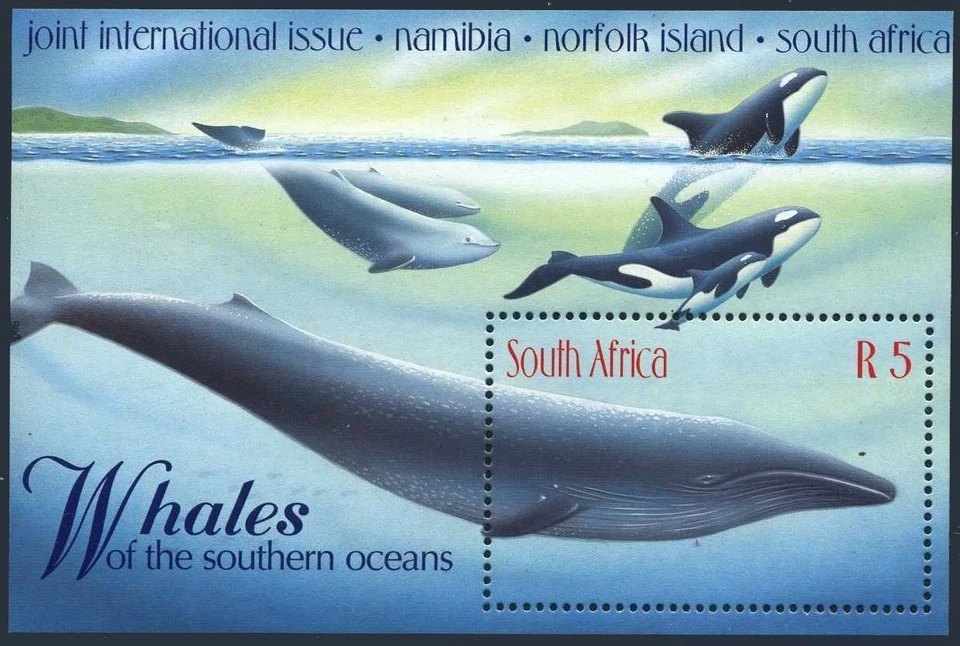 South Africa 1095,MNH.Michel 1181 Bl.71. Whales of the Southern Oceans,1998. - Image 1 of 1