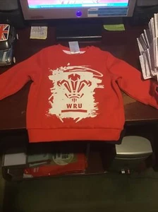 KIDS WRU CYMRU SWEATSHIRT 3-6 MONTHS BIRTHDAY CHRISTMAS RUGBY - Picture 1 of 1