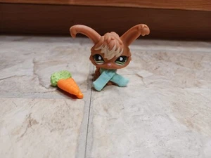 Littlest Pet Shop LPS 774 Angora Rabbit Australian Exclusive W/scarf & Carrot - Picture 1 of 15