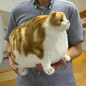 Fatty Zoo Calico Cat Stuffed Doll Plush Toy Scottish Fold 16 inches - Picture 1 of 6