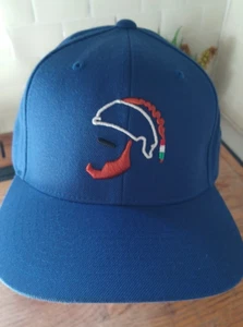 Embroidered Dodgers Baseball Blue Hat The Classics Yupoong Adjustable Cap - Picture 1 of 7