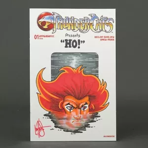 THUNDERCATS #1 Cvr J Blank Authentix Dynamite Comics 2024 DF Haeser 240427D - Picture 1 of 4