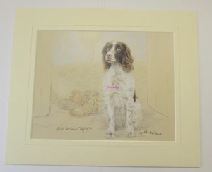English Springer Spaniel Limited Edition Mounted. Print by Gill Evans Free P & P - Picture 1 of 2