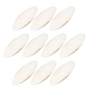 10 pcs Natural Cuddle Bone Parrot Chew Toys Chewing Cuttlefish Bone Bird - Picture 1 of 8