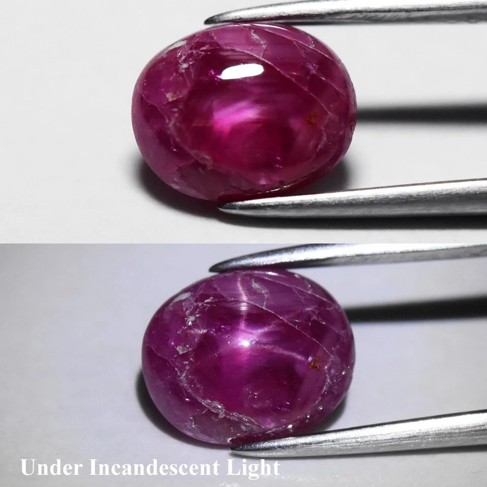 💎 2.56ct Oval Natural Purplish Red 6 Ray Star Ruby - Unheated, Tanzania Gem - Image 1 of 4