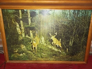 TESTATO FUNZIONA FINE USA VINTAGE HELMSCENE ILLUMINATO #89 CODA BIANCA CERVO BUCK BAR MANCAVE - Foto 1 di 11