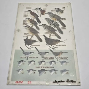 ORIGINAL ROGER TORY PETERSON WATERCOLOR ART "MEXICAN BIRDS" WRENS PLATE 1973 - Picture 1 of 9