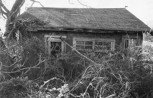 B&W COMIC,OUR NEW VACATION HOME,FORSAKEN HARBOR - Picture 1 of 2