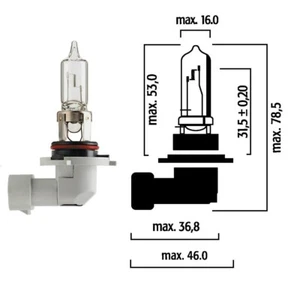 Flosser 9005 HB3 12V 60W P20d Halogen Head Light Bulb - Made in Germany - Picture 1 of 1