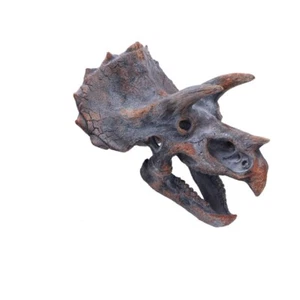 Nemesis Now Triceratops Dinosaur Skull 23cm - Picture 1 of 7