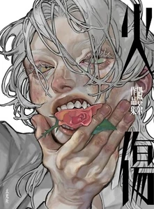 Colección de Obras de Arte Tonocha "yakedo" | Libro de Arte Ilustración JAPÓN - Imagen 1 de 9