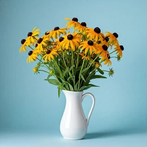 Black Eyed Susan Seeds Rudbeckia  Hirta  50+ Seeds Annual Drought Resistant Heat - Picture 1 of 2