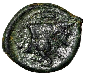 Campania, Neapolis AE13 "Forepart of Man-Headed Bull" Rare - Picture 1 of 5