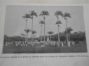 Fort de France Les grands palmistes de la Savane en colonnade Image Print 1925 - Imagen 1 de 1