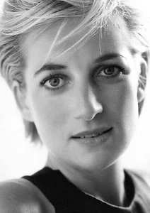 LADY DI 3 - PRINCESS DIANE - ROYALTY - A3 - A4 poster, print, picture, art - Picture 1 of 2