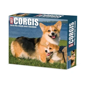 Corgis 2026 5.4" x 6.2" Box Calendar - Picture 1 of 6