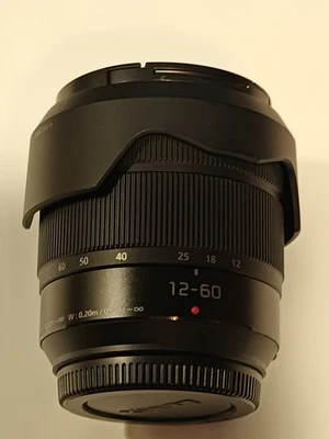 Panasonic LUMIX G Vario 12-60 mm F/3,5-5,6 asph. Power O.I.S. Lente zoom - negro Foto 1 de 3