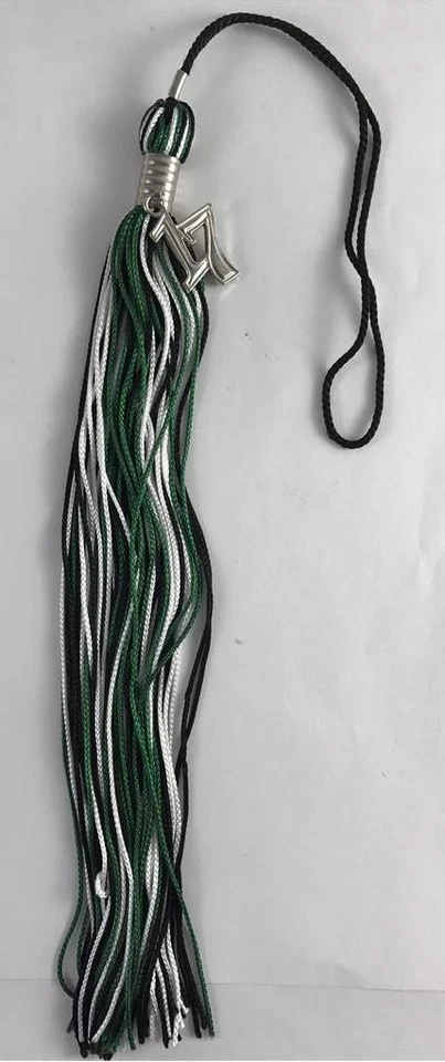 NUEVO Negro Verde y Blanco Clase de 2017 Plata Dije Graduación Borla 9" Jostens Foto 1 de 1