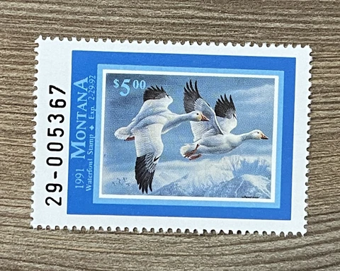 WTDstamps - 1991 MONTANA - State Duck Stamp - Lot1 - Mint OG NH Cover