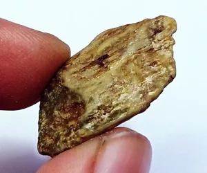 100% Natural Chrysoberyl Cat's Eye Rough Loose Gemstone 14.30 Ct With Free Gift - Picture 1 of 7